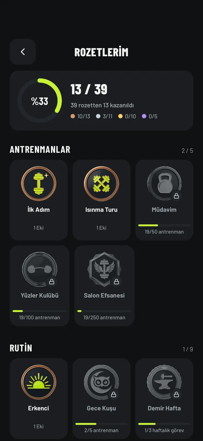 39 rozetten 13'ü kazanılmış rozet koleksiyonu